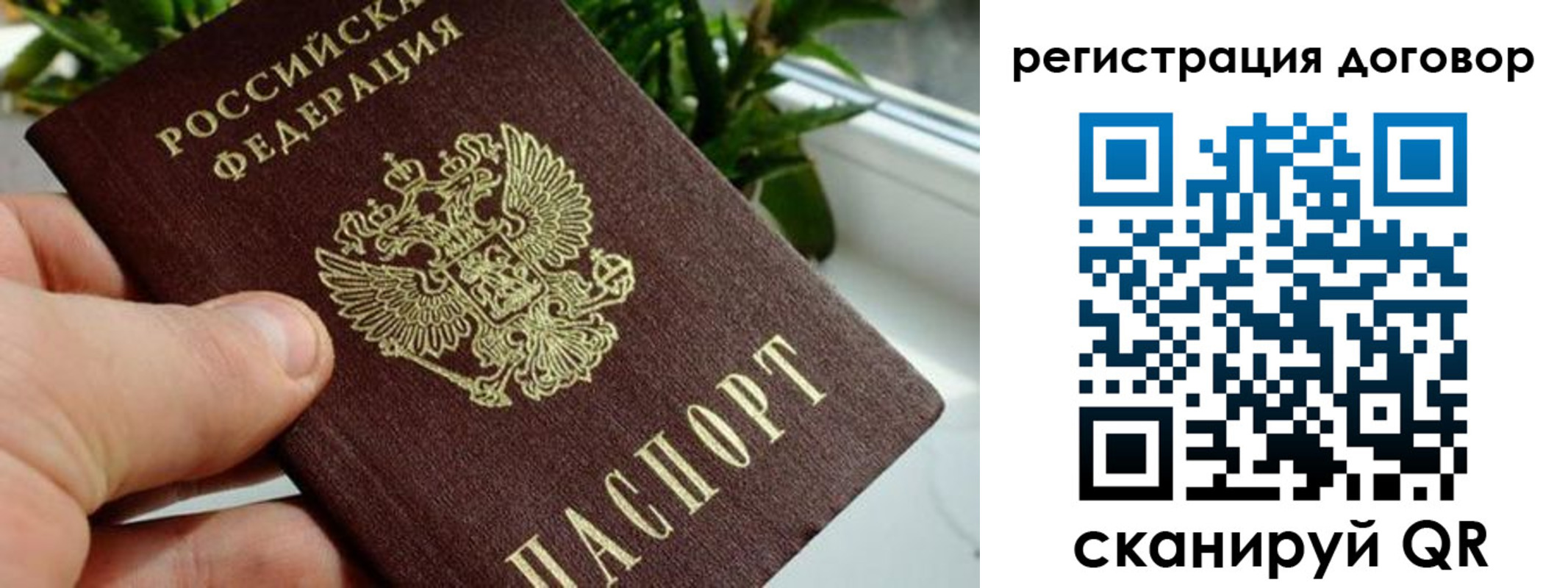 прописка ребенка в Ступино